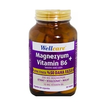 Wellcare Magnezyum + Vitamin B6 90 Tablet