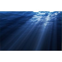 Kanki Pet KP7045007 Akvaryum Arka Fon Yapıştırma 70 CM