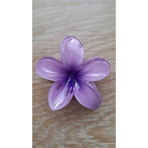 Bayan Renkli Lotus Dişli Toka Mor
