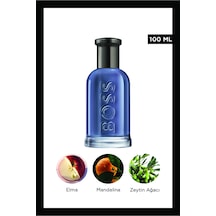 Bottled Infinite Edp Erkek Parfümü 100 Ml Aromatik
