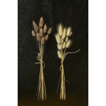 Beyaz - Gri