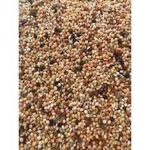 Hobi M001 Üretici Yemi 5 Kg Çuvaldan Bölme