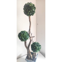 Rüzgar Çiçekcilik 110 Cm Plastik Saskida 3 Lü Top Yeşil