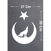50x37 Cm
