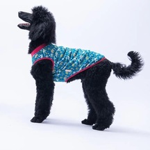 Pawstar 25851 Dino Orta-büyük Irk Köpek T-shirtü 5xl