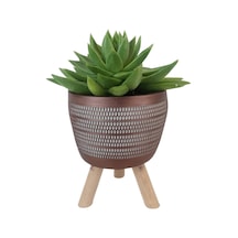 Echeveria Agavoides Kiremit Rengi Damla Saksıda