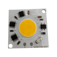 220 Volt 30 Watt 6500k Beyaz Işık Ray Spot Cob Ledi 1 Adet