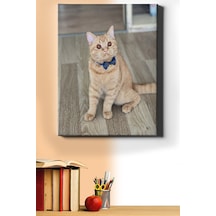 Webstyle Sayılarla Boyama Seti Kasnaklı Kedi Bakışlar 50x65 Cm