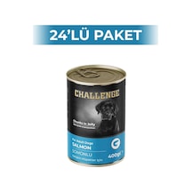 Challenge Somon Balıklı Yetişkin Köpek Konservesi 400 Gr 24 Adet