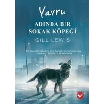 Yavru Adında Bir Sokak Köpeği - Rxlu-593714