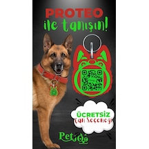 Petjoo 24.Proteo Yeşil-Kırmızı Qr'lı Köpek Künyesi