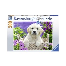 500 Parça Yapboz Retriever