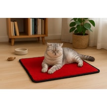 Yumuşak Dokulu Peluş Kedi Halısı 40x40 Cm Kulübe İçi Pofuduk Minder