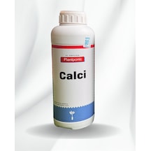 1 Lt
