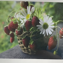 5d Yapışan Boncuk Goblen 30 X 40 Cm Mozaik Tablo Pano 60291 Diğer