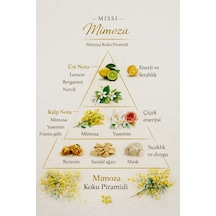 250 Ml Mimoza Yedek Esans Mimoza