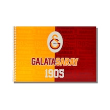 Galatasaray 17x24 15 Yaprak Karton Kapak Spiralli Resim Defteri 463637