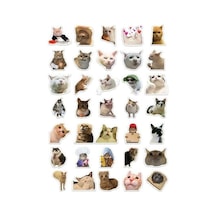 35 Adet Kedi Mood Sticker Seti - Ajanda Ve Defterler İçin Abanoz