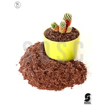 Cocopeat Hindistan Cevizi Torfu 5 Lt