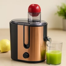 600w Katı Meyve Sıkacağı - 65mm Besleme, Çelik Filtre, 1250ml Posalı Hazne