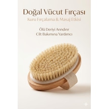 Doğal Vücut Fırçası Kuru Fırçalama, Masaj Ve Peeling Etkili Cilt Bakım Fırçası