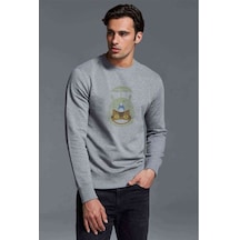 Komşum My Neighbor Totoro Baskılı Gri Erkek Örme Sweatshirt (530945624)