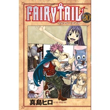 Fairy Tail 20. Cilt