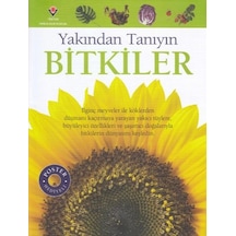 Bitkiler - Yakından Tanıyın