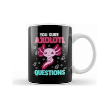 Cute & Funny You Sure Axolotl Questions Pun Kupa Bardak Porselen Karışık