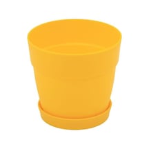 Poliwork Tabaklı Kaktüs Saksı Mix 0,11 Lt 65 60 Mm