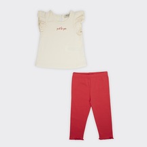 Kız Çocuk Baskı Detaylı T-shirtlü Taytlı Takım 2411gb17014-4393 001