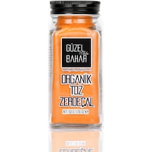 Güzel Ada Gıda Organik Toz Zerdeçal 50 G