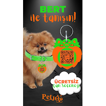 Petjoo 13.Bert Turuncu-Yeşil Qr'lı Köpek Künyesi