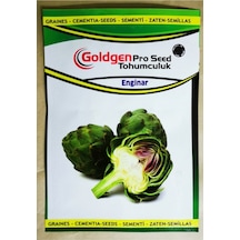 Goldgen Pro Seed Enginar Tohumu