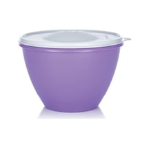 Uzun Kap 1.9 Lt Mor Hazırlama Saklama Kabı Hsgl Mor - 61460519 Mor