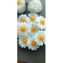 Bernami Biblo Pinterest Papatya Desen Dekoratif Mum Söz,nişan,mevlid Hediyelik Mum 50 Adet