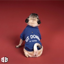 Salya Store Be Humble College Ceket Köpek Kıyafeti Köpek Ceketi