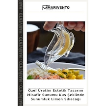 Çok Renkli