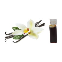 Vanilya Çiçek Orkidesinden Elde edilen Naturel Koku Absolute 1ml