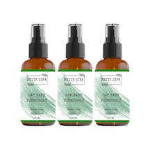 Saf Nane Hidrosolü 300 Ml - 3 X 100 Ml Nane Suyu