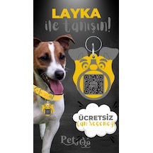 Petjoo 22.Layka Gri-Sarı Qr'lı Köpek Künyesi