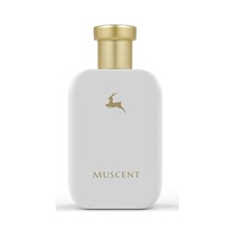 C058 Guidans 50 Ml.