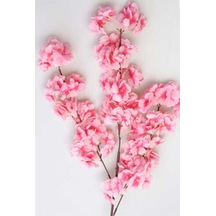 Rüzgar Çiçekcilik 100 Cm Pembe Bahardali Pembe