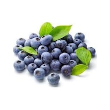 20 Adet Yaban Mersini Tohumu Blueberry Tohumu + Tohum