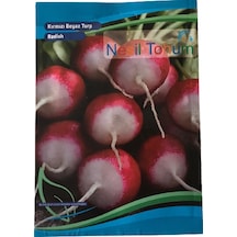 KırmızıBeyaz Turp Atalık Tohumu 3 Paket