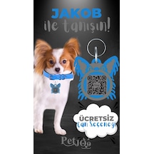 Petjoo 8.Jakob Gri-Mavi Qr'lı Köpek Künyesi