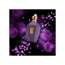 Xerjoff V Purple Accento 100 Ml Unısex Parfum Deri