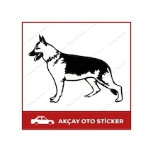 Alman Kurdu Sticker Kurt Sticker Oto Sticker Araba Sticker