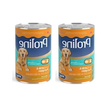 Kuzu Etli Ve Bal Kabaklı Pate - Yetişkin Köpek Konservesi 395 Gr 2'li Paket 100 G