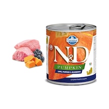N&D Tahılsız Kuzu Etli Bal Kabaklı & Yaban Mersinli Konserve Yavru Köpek Maması 285 G
